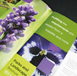 Gavin Willis Art Direction - Creative Design Agency Northampton - Graphic Design Northampton