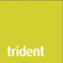 Trident Building Consultancy logo