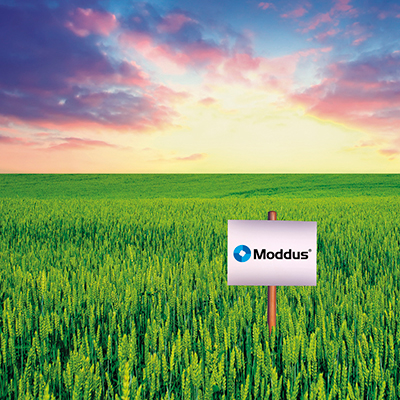 Syngenta Moddus