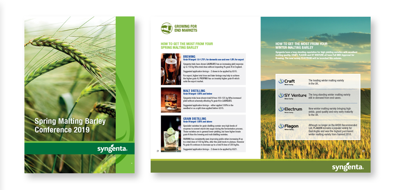 syngenta spring barley