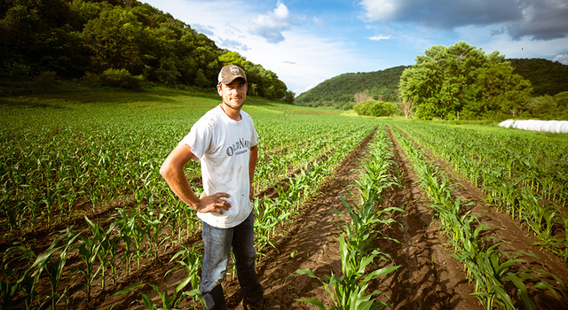 5 amazing agriculture logo hacks to launch, or spruce up your brand