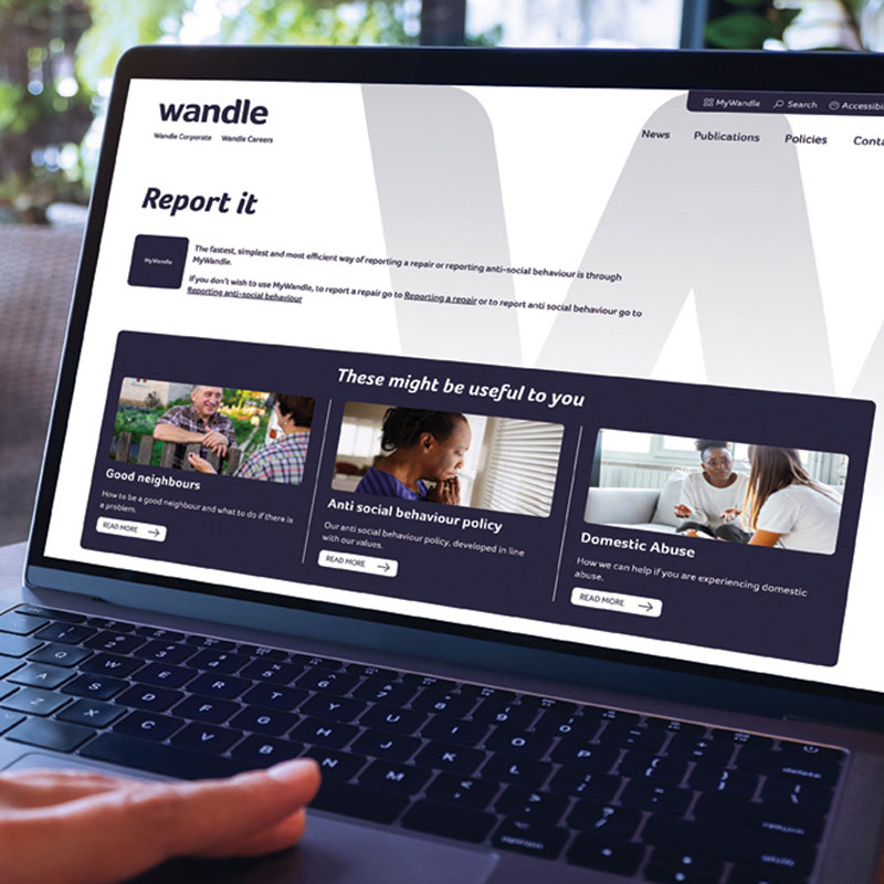 Wandle website development