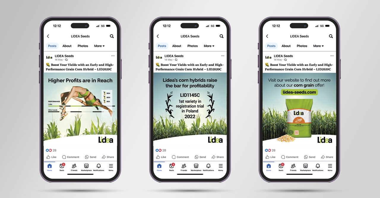 Lidea Creative Campaign Development