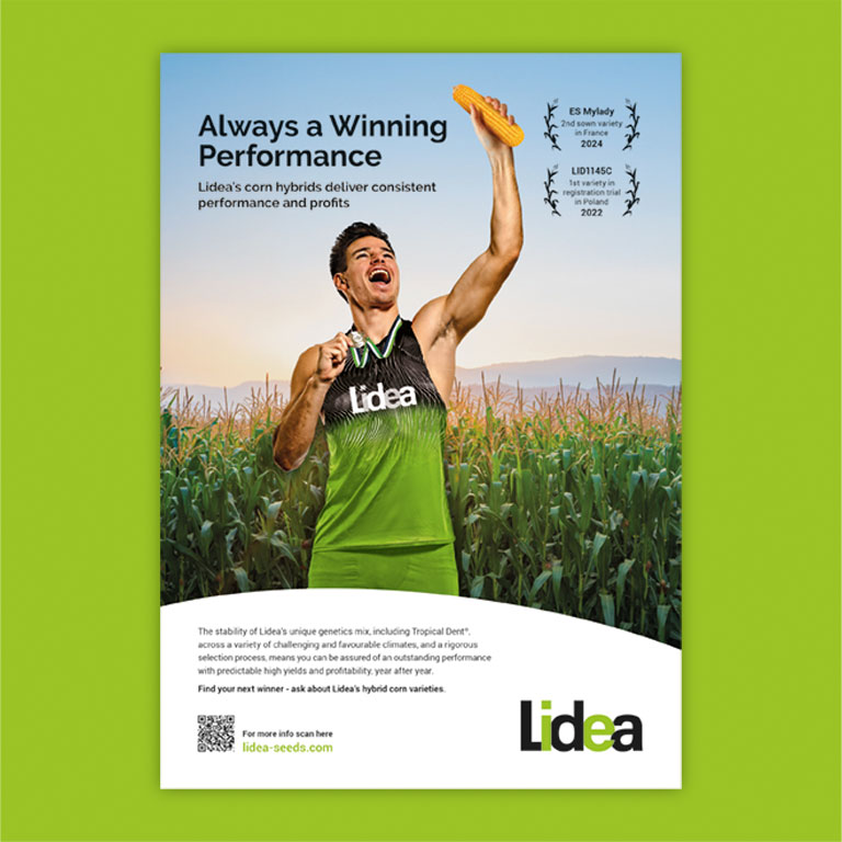 Lidea Creative Campaign Development