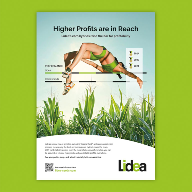 Lidea Creative Campaign Development