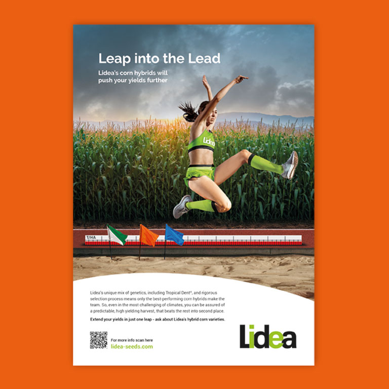 Lidea Creative Campaign Development