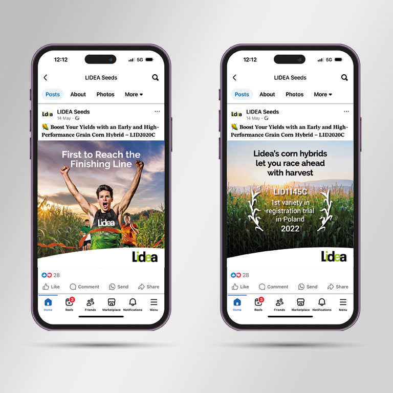 Lidea Creative Campaign Development