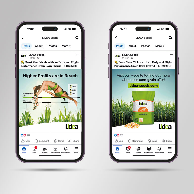 Lidea Creative Campaign Development