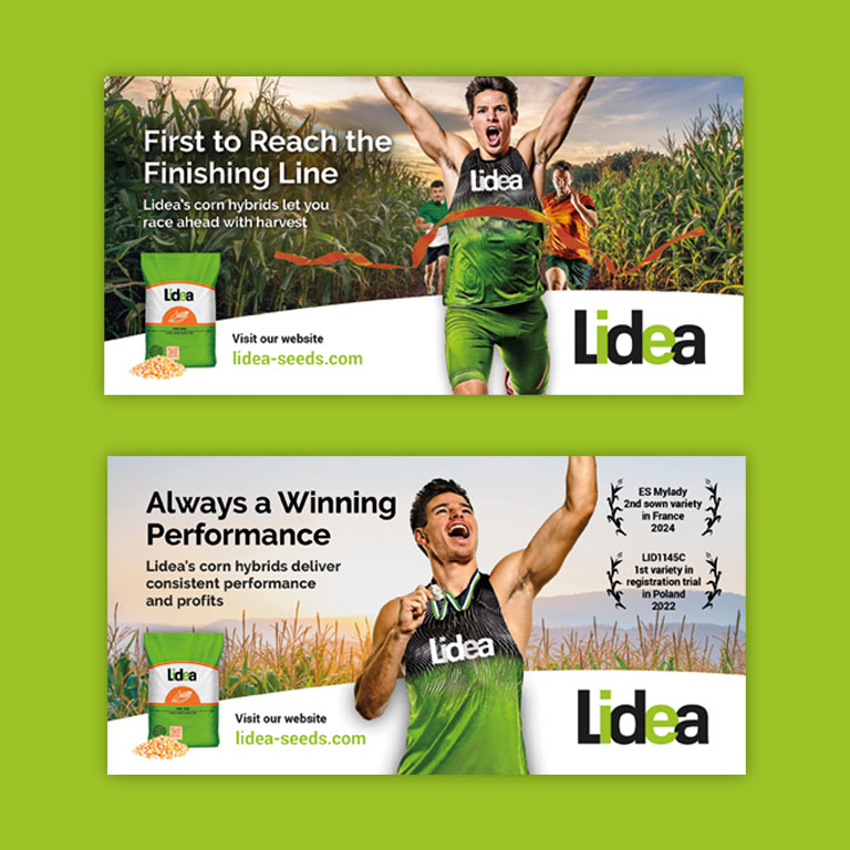 Lidea Creative Campaign Development